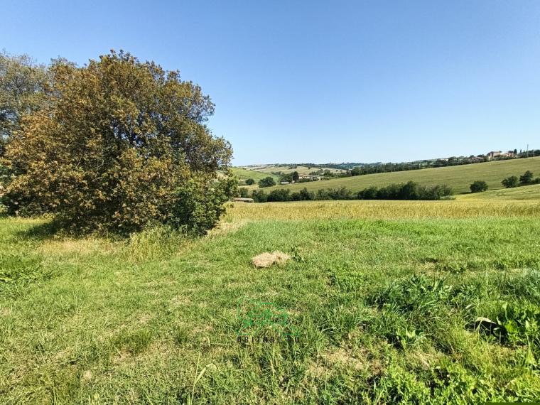 Fano - zona caminate - rustico casolare cascina in vendita
