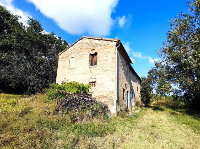 Fano - zona sant'andrea in villis - rustico casolare cascina in vendita