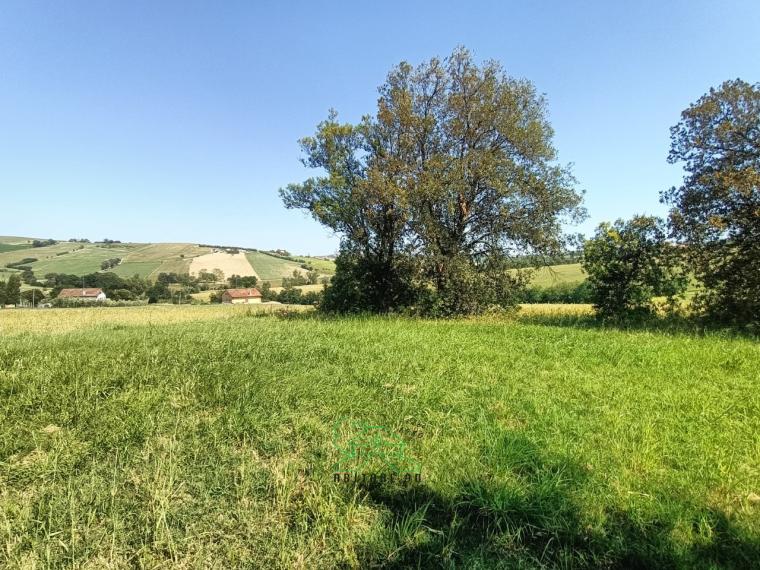 Fano - zona caminate - rustico casolare cascina in vendita