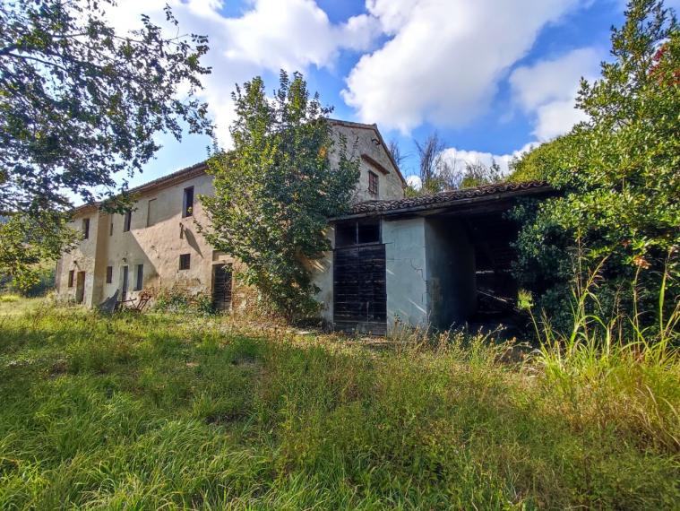 Fano - zona sant'andrea in villis - rustico casolare cascina in vendita