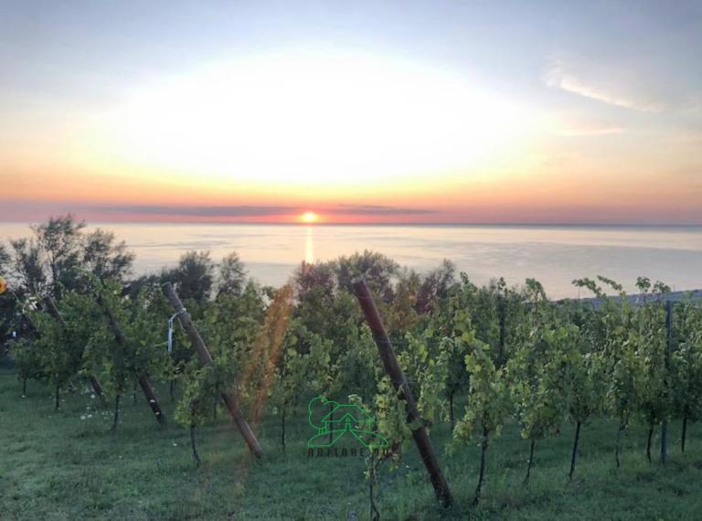 Fano - zona san biagio - rustico casolare cascina in vendita