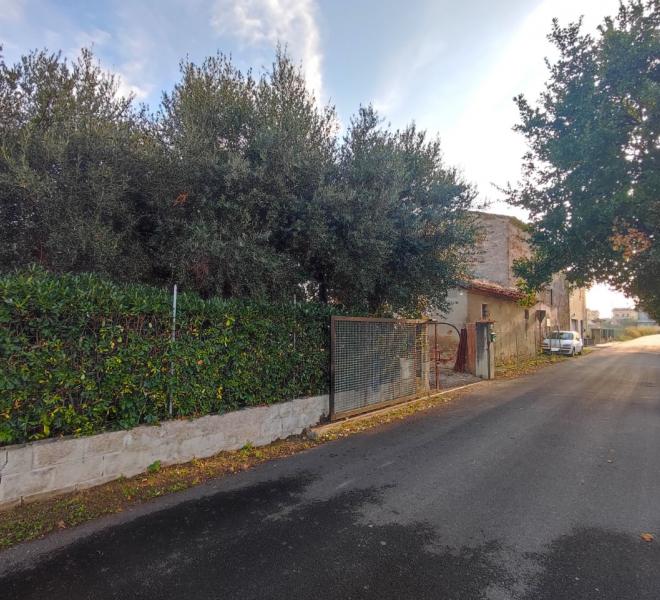 Fano - zona bellocchi - rustico casolare cascina in vendita