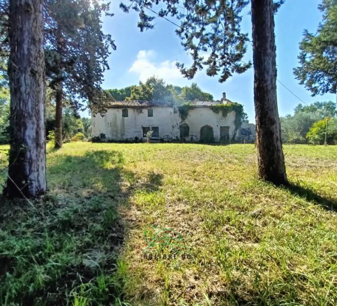 Mombaroccio - zona  - rustico casolare cascina in vendita