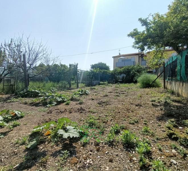 Fano - zona metaurilia - terreno in vendita