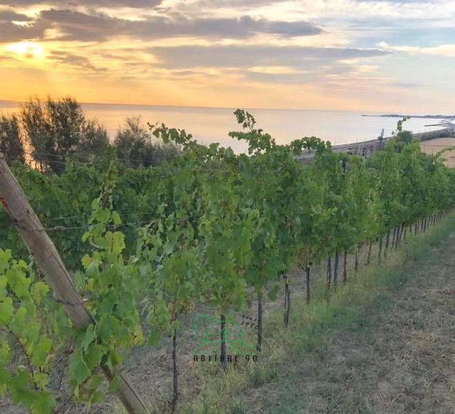 Fano - zona san biagio - rustico casolare cascina in vendita