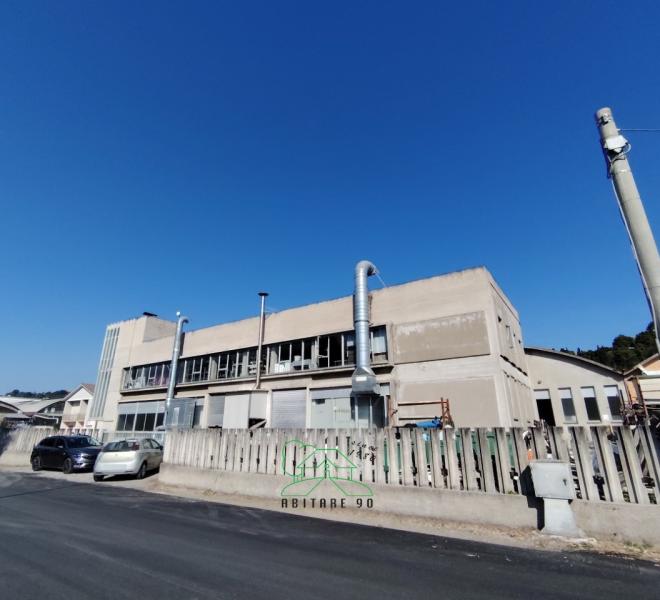 Fano - zona rosciano - capannone in vendita
