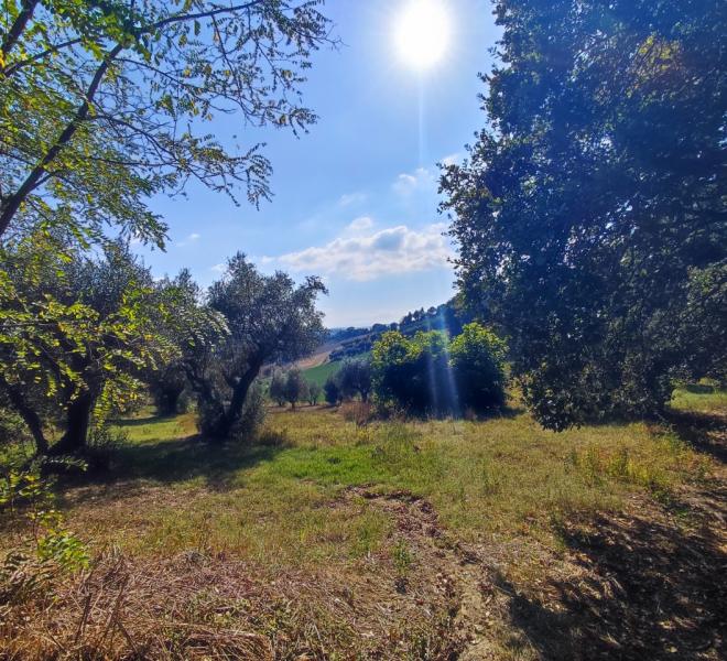 Fano - zona sant'andrea in villis - terreno in vendita