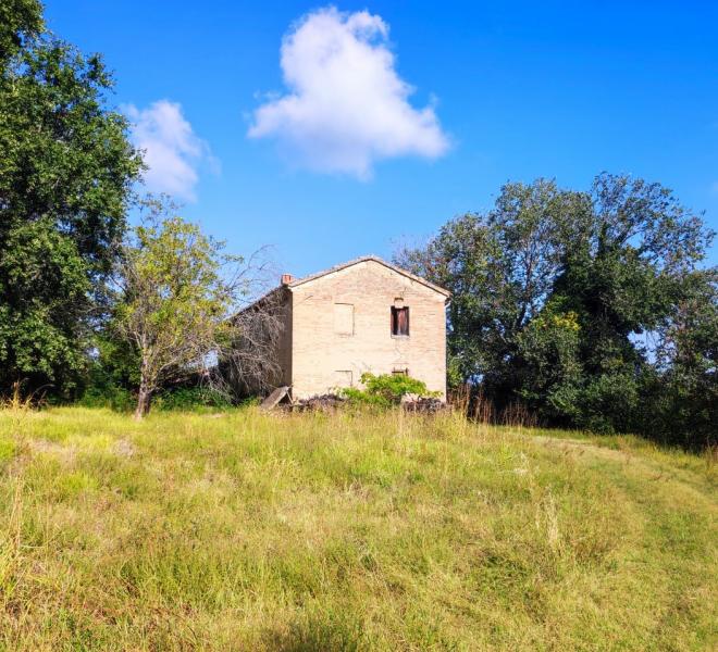 Fano - zona sant'andrea in villis - rustico casolare cascina in vendita