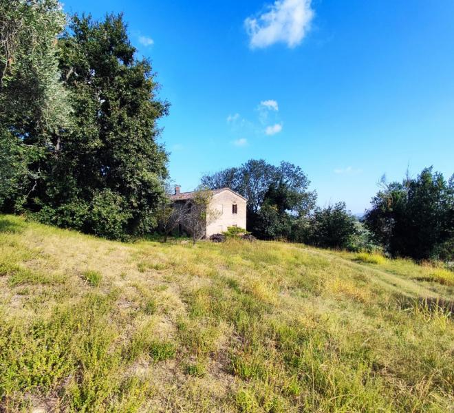 Fano - zona sant'andrea in villis - rustico casolare cascina in vendita