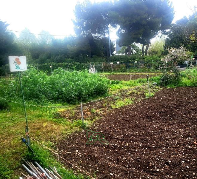Fano - zona cimitero - terreno in vendita