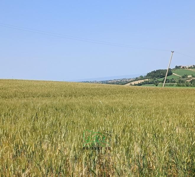 Fano - zona caminate - rustico casolare cascina in vendita